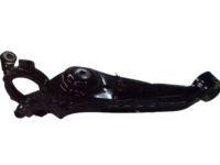 OEM Hyundai Santa Fe Arm Complete-Trailing, LH - 55100-26000