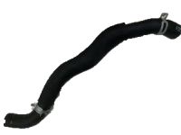 OEM Kia Optima Hose-Radiator Lower - 254153Q000