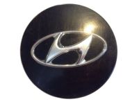 OEM 2006 Hyundai Santa Fe Wheel Hub Cap Assembly - 52960-26400
