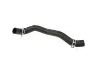 OEM 2016 Hyundai Azera Hose Assembly-Radaator, Lower - 25415-3R200