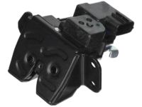 OEM Tail Gate Latch Assembly - 812302W000
