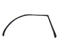 OEM 2000 Hyundai Accent Weatherstrip-Front Door Body Side LH - 82110-25000