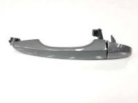 OEM 2019 Hyundai Kona Rear Door Outside Handle, Right - 83661-J9000