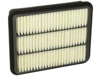 OEM 2005 Hyundai XG350 Air Cleaner Filter - 28113-39000