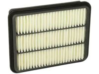 OEM 2002 Hyundai XG350 Air Cleaner Filter - 28113-39000