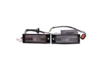 OEM Hyundai Tucson Lamp Assembly-License - 92501-D3100