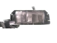 OEM 2021 Hyundai Ioniq Lamp Assembly-License Plate - 92501-G2000