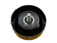 OEM Hyundai Idler Assembly - 25286-3E001