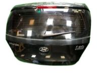 OEM Hyundai Panel Assembly-Tail Gate - 73700-G3010