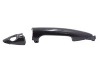 OEM 2012 Hyundai Genesis Door Handle Assembly, Exterior, Left - 82651-3M000