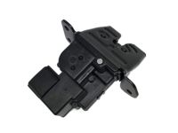 OEM Hyundai Tail Gate Latch Assembly - 81230-A5000