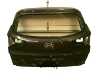 OEM Hyundai Panel Assembly-Tail Gate - 73700-D3040