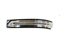 OEM Hyundai Lamp Assembly-Outside Mirror, LH - 87613-D3000