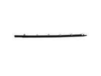 OEM 2003 Hyundai Elantra Weatherstrip Assembly-Front Door Belt Outside LH - 82210-2D000