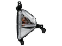 OEM Hyundai Elantra Lamp Assembly-Front Turn Signal, RH - 92302-F2510