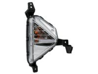 OEM 2019 Hyundai Elantra Lamp Assembly-Front Turn Signal, RH - 92302-F2510