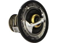 OEM Kia Sedona Thermostat Assembly - 2550037200