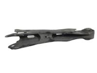 OEM Hyundai Sonata Arm Assembly-Rear Assist - 55250-C2100