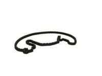 OEM Kia Borrego Chain-Timing - 243123C100