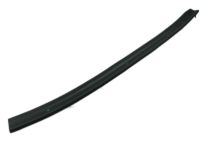 OEM 2012 Hyundai Genesis Weatherstrip-Rear Door Lower, LH - 83170-3M000