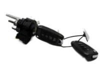 OEM 2007 Hyundai Entourage Key Sub Set-Steering Lock - 81900-4JA00