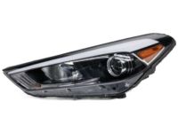 OEM 2016 Hyundai Tucson Left Driver Side Halogen Headlamp Lens Flaw - 92101-D3050