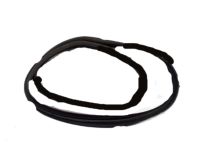 OEM Hyundai Santa Fe Weatherstrip-Tail Gate Opening - 87321-26000