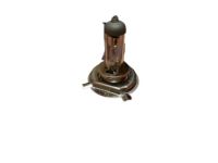 OEM 2009 Hyundai Accent Bulb-Halogen - 18647-61566-L