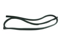 OEM Hyundai Elantra Weatherstrip-Front Door Body Side LH - 82110-2H001-CH