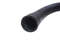 OEM Kia Rio Hose-Radiator, Upper - 254111R200