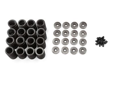 Acura 14762-RAA-A01 Spring, Exhaust Valve (Pink) (Associated Spring)