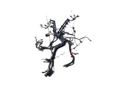 Honda 32110-R1B-A50 Wire Harness, Engine