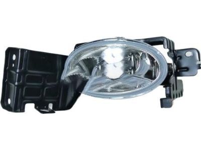 Honda 33951-TP6-306 Foglight Unit, Driver Side (Coo)