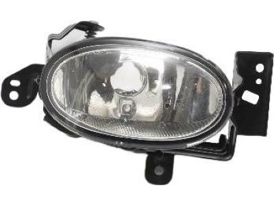 Honda 33951-SZT-A51 Foglight Unit, Driver Side (Coo)