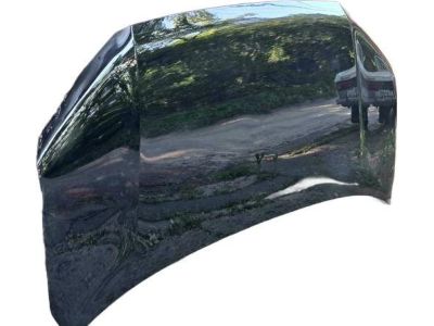 Honda 60100-T6Z-A00ZZ W-HOOD, ENGINE