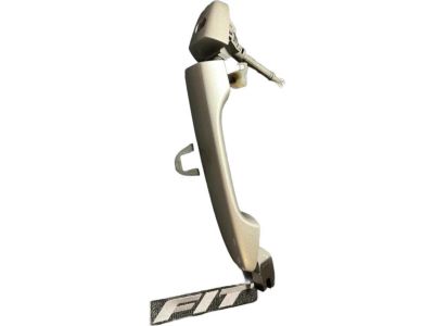 Honda 72181-TR0-A11ZC Handle, Driver Side (Silver Metallic)