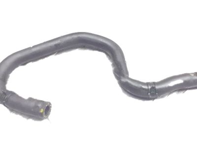 Honda 19132-5BA-A00 Hose B Eng Out, Ex