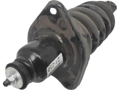 Honda 52446-TGT-A03 Spring, Rear Driver Side