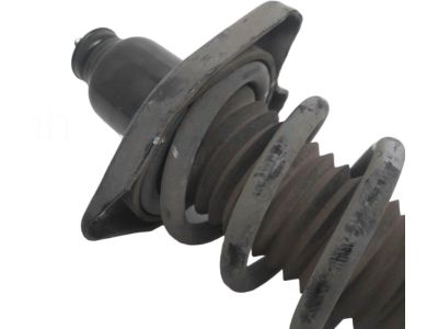 Honda 52446-TGT-A03 Spring, Rear Driver Side