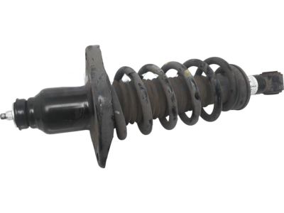 Honda 52446-TGT-A03 Spring, Rear Driver Side