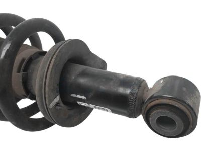 Honda 52446-TGT-A03 Spring, Rear Driver Side