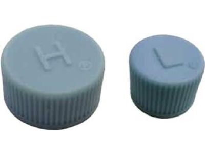 Honda 80866-SJC-A00 Cap, Valve (L) (Parker)