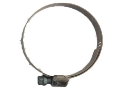 Acura 17284-P2J-003 Clamp, Tube (D44)