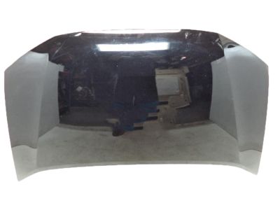 Honda 60100-TM8-A90ZZ Hood, Engine (DOT)