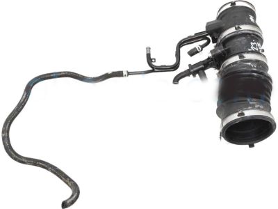 Honda 17229-6B2-A00 Tube, Air Flow (A)