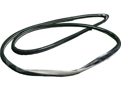 Honda 72350-TM8-A01 Weatherstrip, L. FR. Door