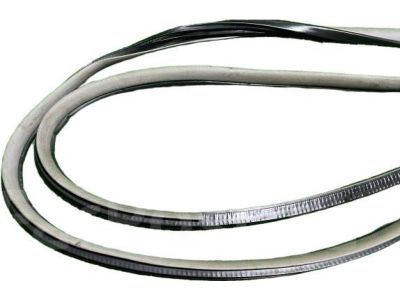 Honda 72350-TM8-A01 Weatherstrip, L. FR. Door