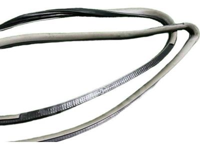 Honda 72350-TM8-A01 Weatherstrip, L. FR. Door