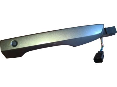 Honda 72141-TEA-T71ZF Handle, Passenger Side (Polished Metal Metallic)