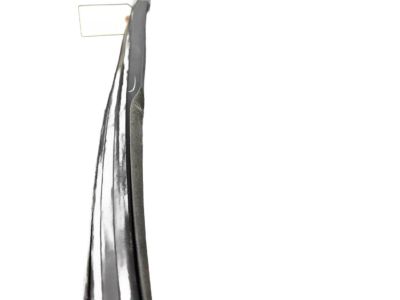 Honda 72235-T5A-A01 Channel, Right Front Door Run